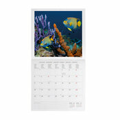 Calendrier 2027 Poissons Exotiques et Vie Sous Marine Calendrier 2027 Poissons Exotiques et Vie Sous Marine