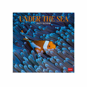 Calendrier 2027 Poissons Exotiques et Vie Sous Marine