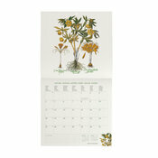 Calendrier 2027 Herbier Fleurs Botaniques Calendrier 2027 Herbier Fleurs Botaniques