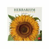 Calendrier 2027 Herbier Fleurs Botaniques Calendrier Mural 2027 Herbier Fleurs Botaniques