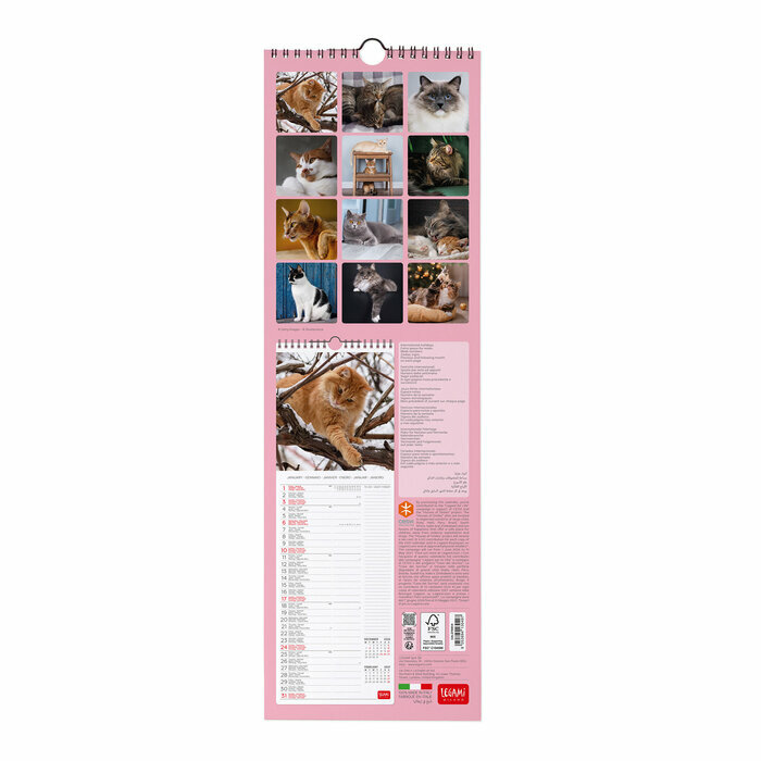 Calendrier Mural Slim 2027 Chats Mignons