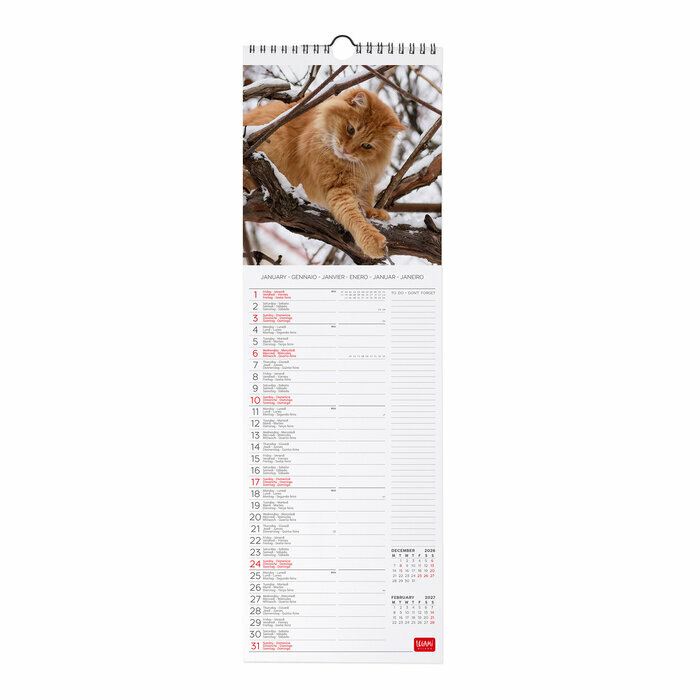 Calendrier Slim 2027 Chats Mignons