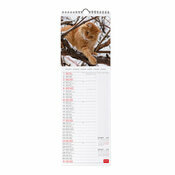 Calendrier Slim 2027 Chats Mignons