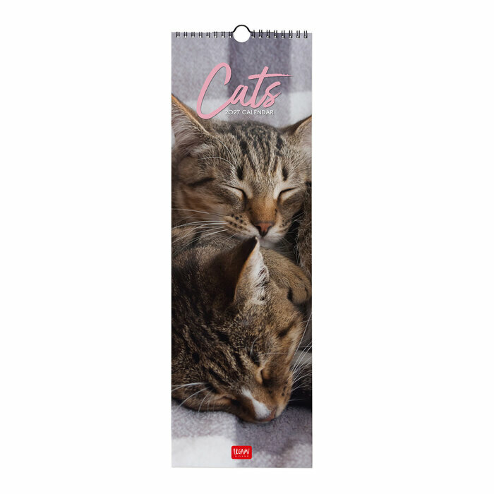 Calendrier Slim  �troit 2027 Chats Mignons