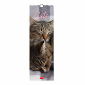 Calendrier Slim  �troit 2027 Chats Mignons