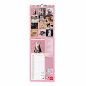 Calendrier Slim 2027 Chatons Mignons