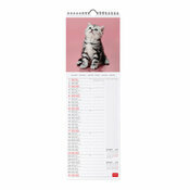 Calendrier �troit 2027 Chatons Mignons