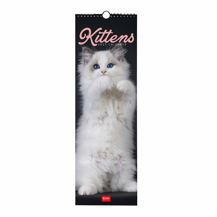 Calendrier Mural Slim 2027 Chatons Mignons