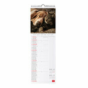 Calendrier Slim 2027 Animaux Amis Calendrier Slim 2027 Animaux Amis