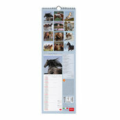 Calendrier MURAL  Slim 2027 Chevaux Sauvages