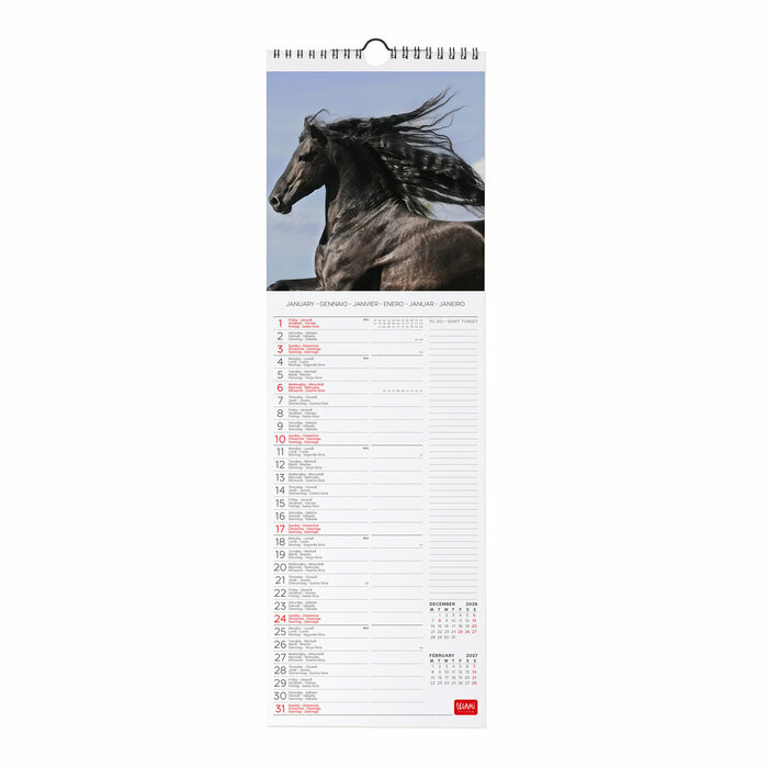 Calendrier Slim 2027 Chevaux Sauvages