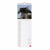 Calendrier Slim 2027 Chevaux Sauvages