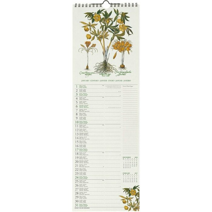 Calendrier Slim 2027 Herbier Botanique R�tro