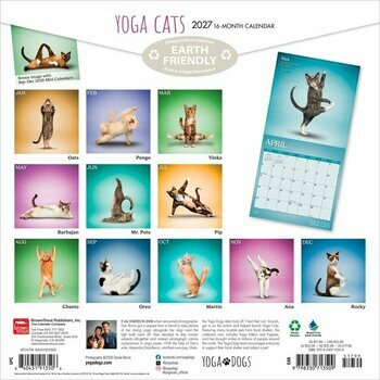Calendrier 2027 Chats Yoga 