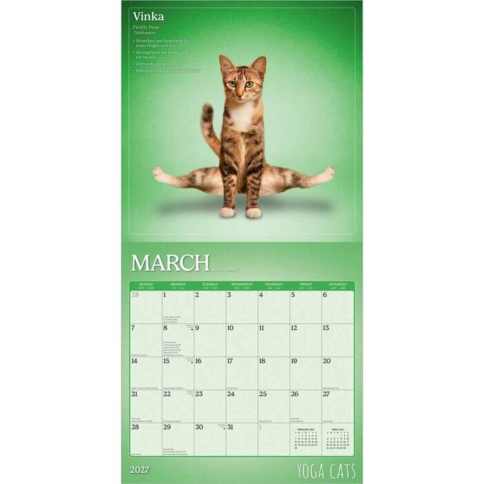 Calendrier 2027 Chats Yoga Calendrier papier 2027 Chats Yoga