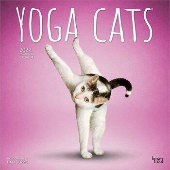 Calendrier 2027 Chats Yoga 