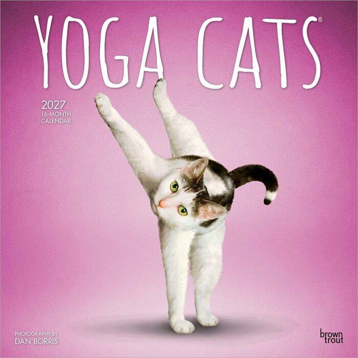 Calendrier 2027 Chats Yoga Calendrier Mural 2027 Chats Yoga
