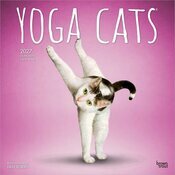 Calendrier 2027 Chats Yoga Calendrier Mural 2027 Chats Yoga