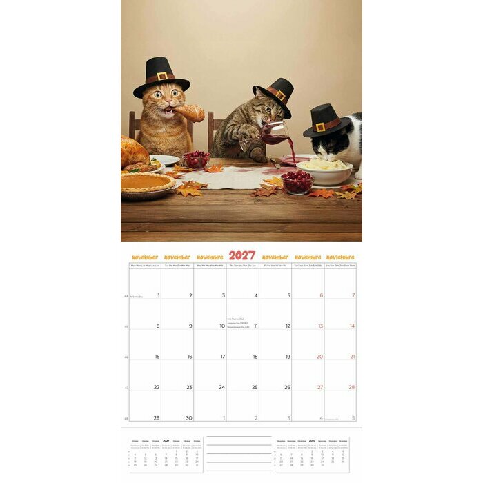 Calendrier 2027 Chats Humour Fun Studio Calendrier 2027 Chats Humour Fun Studio