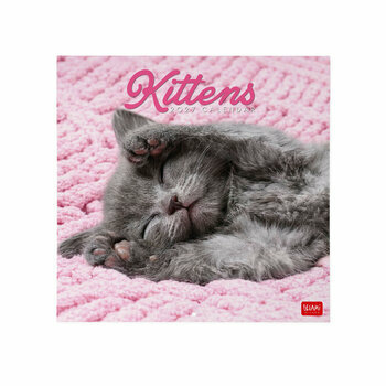 Mini Calendrier 2027 Chatons B&eacute;b&eacute;s