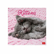 Mini Calendrier mural 2027 Chatons B�b�s