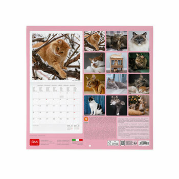Mini Calendrier 2027 Chats 
