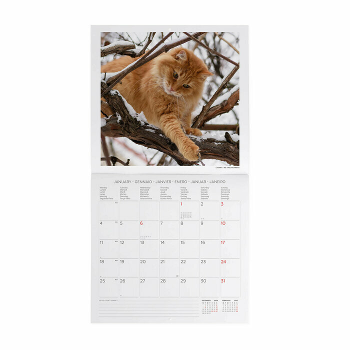Mini Calendrier 2027 Chats 