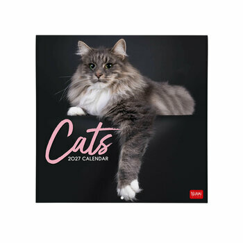 Mini Calendrier 2027 Chats 