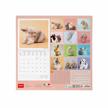Mini Calendrier 2027 Lapins