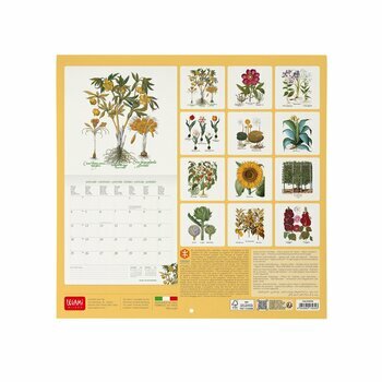Mini Calendrier 2027 Herbier Botanique