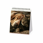 Calendrier Chevalet 2027 Animaux Amis Chien Chat