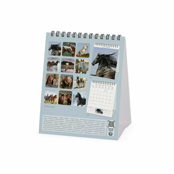 Calendrier Chevalet 2027 Chevaux Sauvages