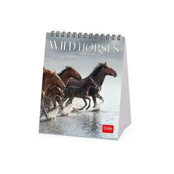 Calendrier Chevalet 2027 Chevaux Sauvages