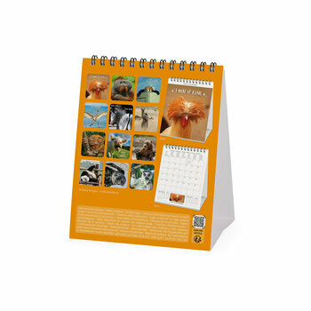 Calendrier Chevalet 2027 Animaux Cool