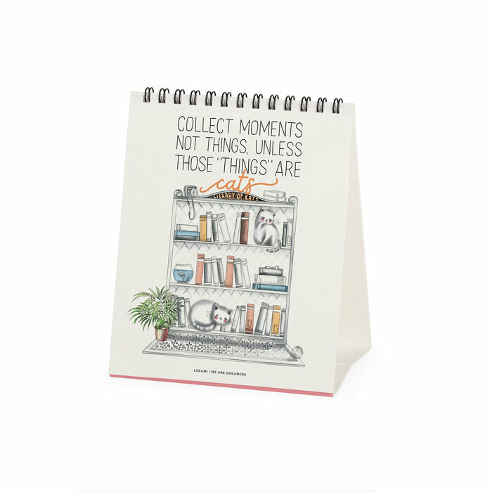 Calendrier Chevalet 2027 Dessin Chat Humour Calendrier Chevalet Chatons 2027 Dessin Chat Humour