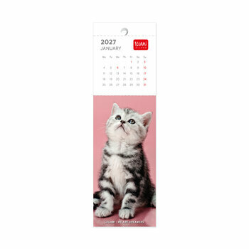 Calendrier Marque Page 2027 Chatons B&eacute;b&eacute;s