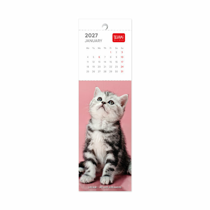 Calendrier Marque Page 2027 Chatons Bébés Calendrier Marque Page Livre 2027 Chatons Bébés