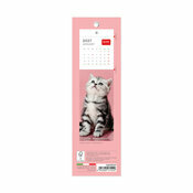 Calendrier Marque Page 2027 Chatons Bébés Calendrier Marque Page 2027 Chatons Bébés