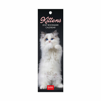 Calendrier Marque Page 2027 Chatons B&eacute;b&eacute;s