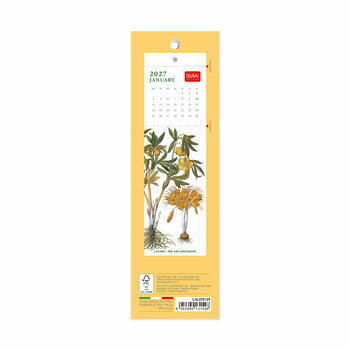 Calendrier Marque Page 2027 Herbiers Dessins Fleurs