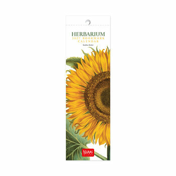 Calendrier Marque Page 2027 Herbiers Dessins Fleurs