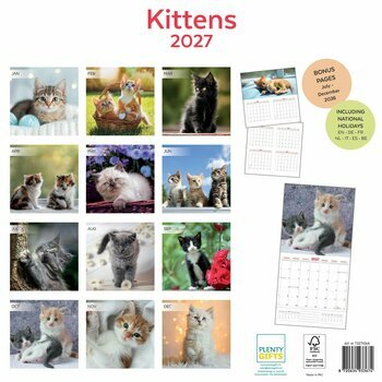 Calendrier 2027 Amour des Chatons 