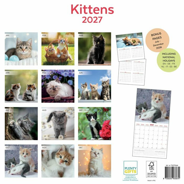 Calendrier Papier 2027 Amour des Chatons 
