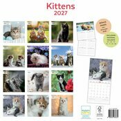 Calendrier Papier 2027 Amour des Chatons 