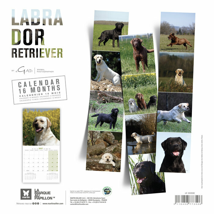 Calendrier 2027 Chien Labrador Retriever Calendrier 2027 Chien Labrador Retriever toutes couleurs
