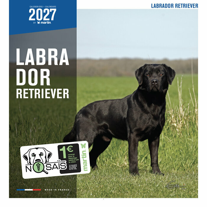 Calendrier 2027 Chien Labrador Retriever Calendrier Mural 2027 Chien Labrador Retriever
