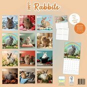Calendrier 2027 Lapins Fun Studio Calendrier papier 2027 Lapins Fun Studio