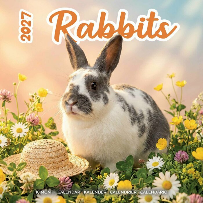 Calendrier 2027 Lapins Fun Studio Calendrier Mural 2027 Lapins Fun Studio