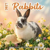 Calendrier 2027 Lapins Fun Studio Calendrier Mural 2027 Lapins Fun Studio
