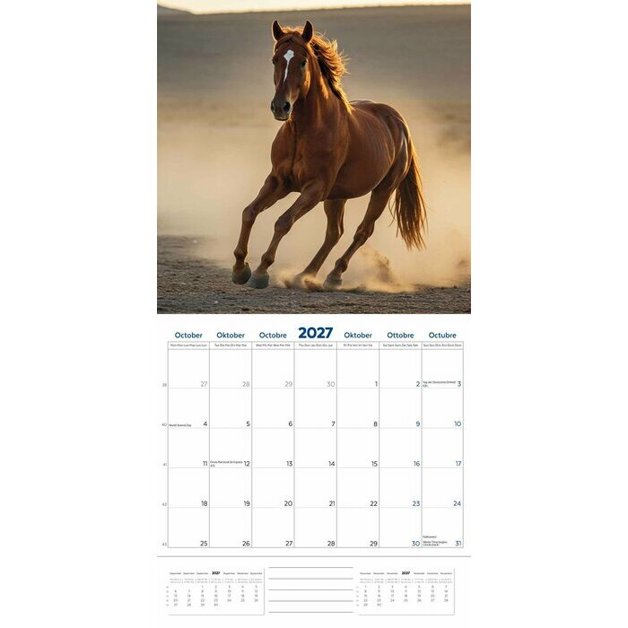 Calendrier 2027 Amoureux des Chevaux Calendrier 2027 Amoureux des Chevaux
